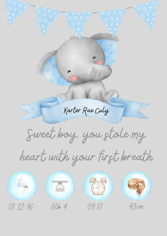 Baby Boy Personalised Birth Information Art Print