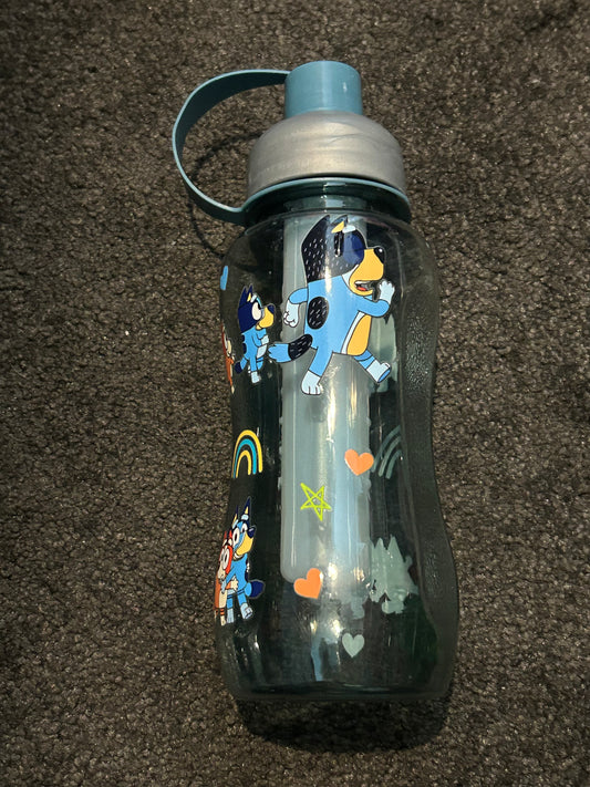 Bluey Inspired Drinks Bottle