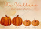 Personalised Family Pumpkin Patch A4 Print