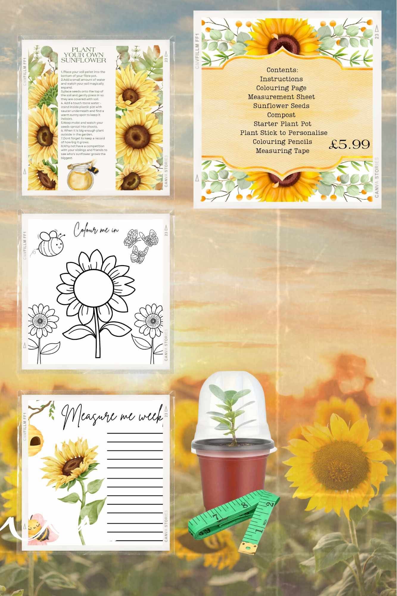 Grow Your Own Sunflower Set