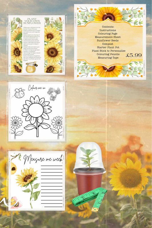 Grow Your Own Sunflower Set