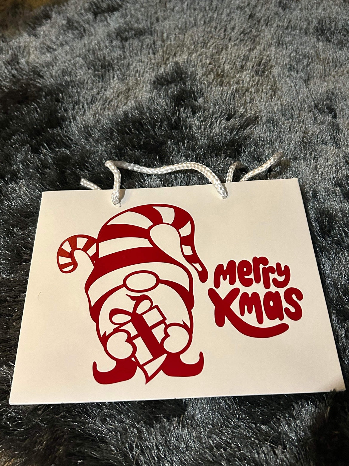 Glossy Rope Handled Gift Bag